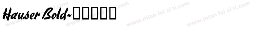 Hauser Bold字体转换